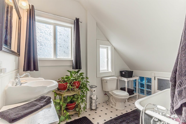 bathroom with toilet, sink, and vaulted ceiling