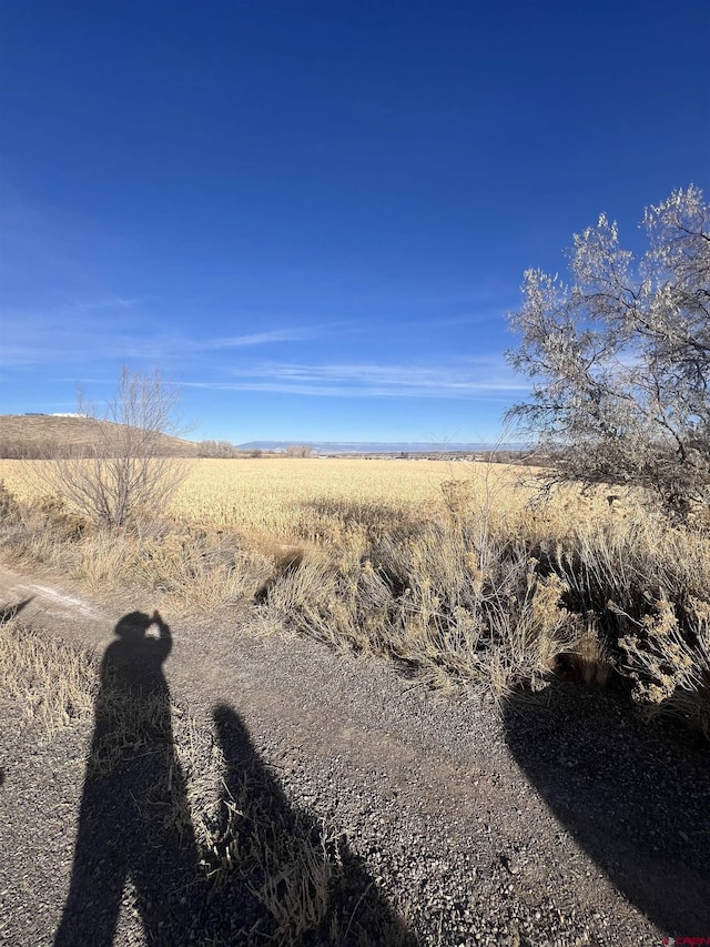 Listing photo 3 for TBD Kiowa Rd, Montrose CO 81403