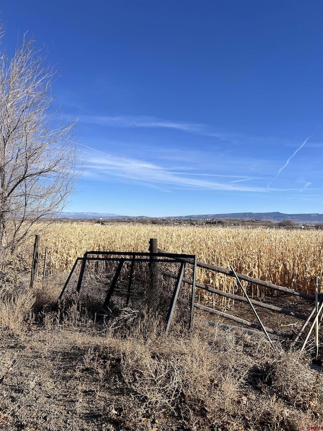 Listing photo 3 for TBD Kiowa Rd, Montrose CO 81403