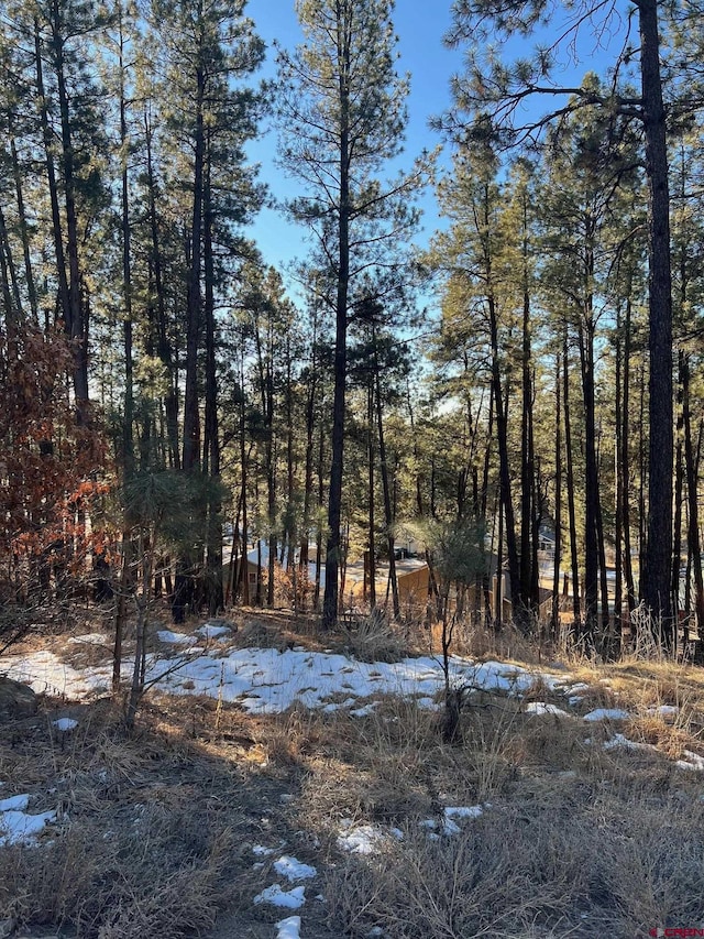 567,581,591 Mesa Drive, Bayfield, CO 81122