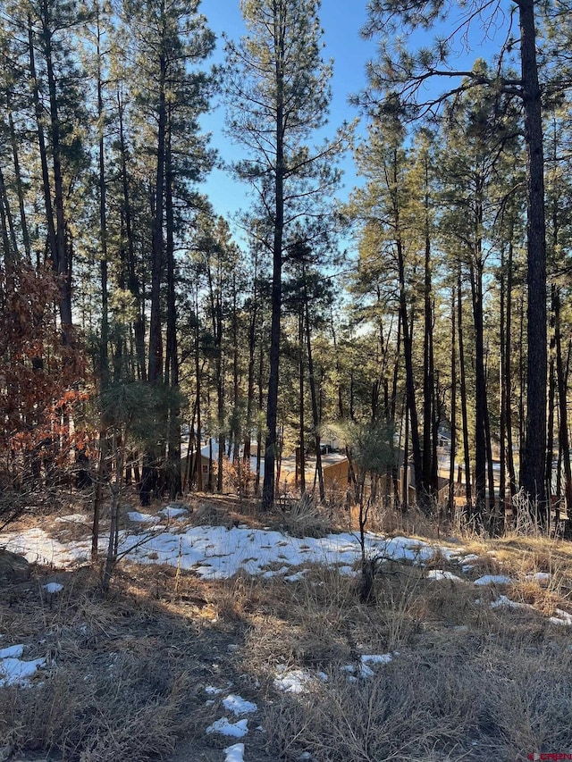 567,581,591 Mesa Drive, Bayfield CO, 81122 land for sale