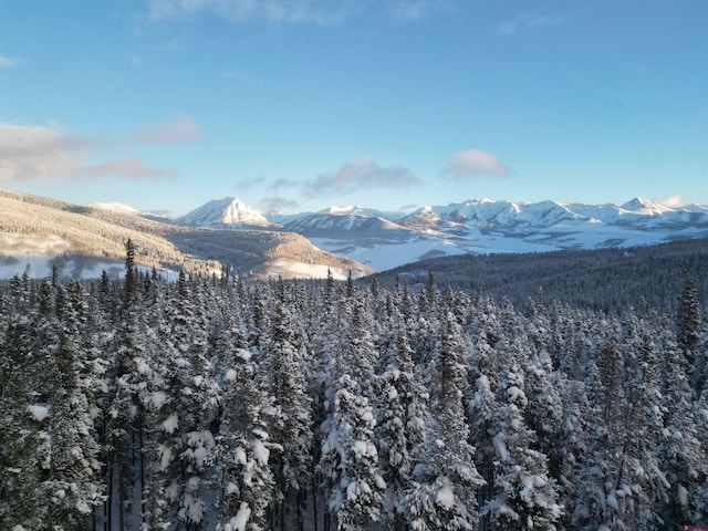 Listing photo 3 for 5350 Wildcat Trl, Crested Butte CO 81224