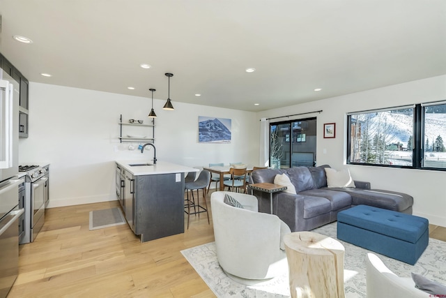 living room with light hardwood / wood-style floors and sink