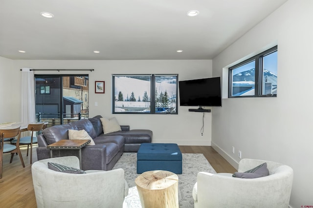 living room featuring light hardwood / wood-style floors