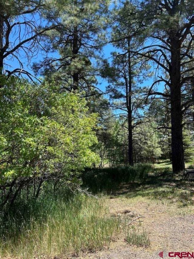 30 Knollwood Ct, Pagosa Springs CO, 81147 land for sale