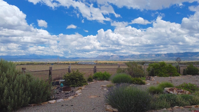 view of yard featuring a mountain view and a rural view