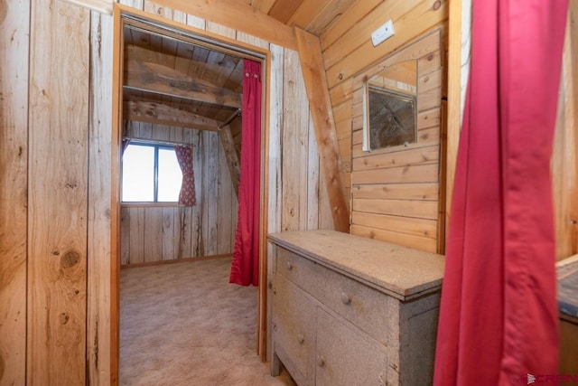 1015 E Stollsteimer Rd, Pagosa Springs, CO 81147 - view of storage