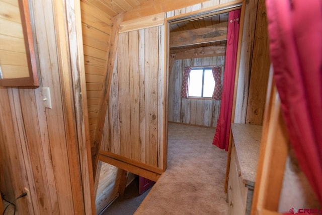 1015 E Stollsteimer Rd, Pagosa Springs, CO 81147 - hall with carpet flooring and wooden walls