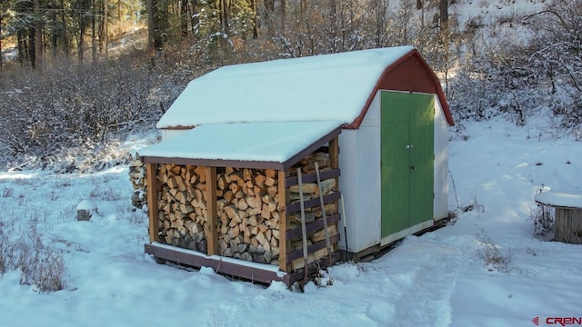 1015 E Stollsteimer Rd, Pagosa Springs, CO 81147 - snow covered structure featuring a storage unit