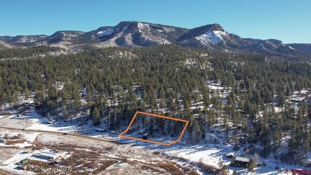 1015 E Stollsteimer Rd, Pagosa Springs, CO 81147 - view of mountain backdrop with a heavily wooded area