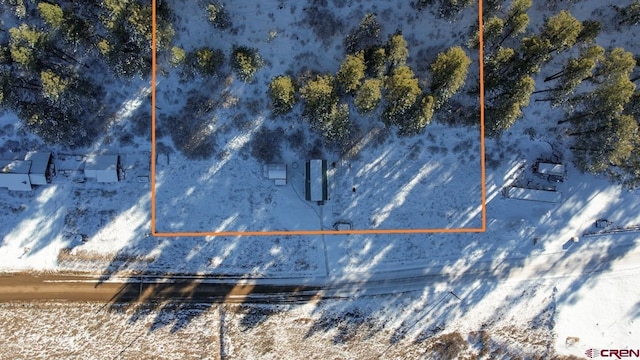 1015 E Stollsteimer Rd, Pagosa Springs, CO 81147 - view of property location featuring property parcel outlined