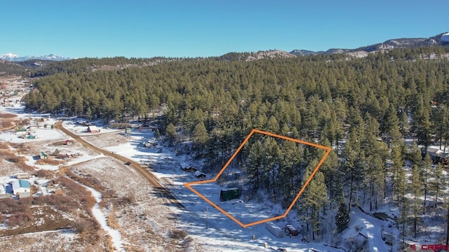 1015 E Stollsteimer Rd, Pagosa Springs, CO 81147 - aerial view of property and surrounding area featuring a forest, a mountain backdrop, and property boundaries highlighted