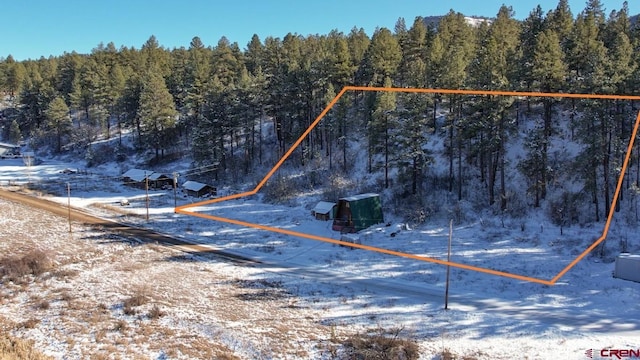 1015 E Stollsteimer Rd, Pagosa Springs, CO 81147 - snowy aerial view with a forest view
