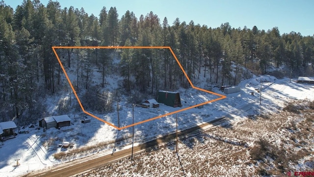 1015 E Stollsteimer Rd, Pagosa Springs, CO 81147 - snowy aerial view with a view of trees and property boundaries highlighted