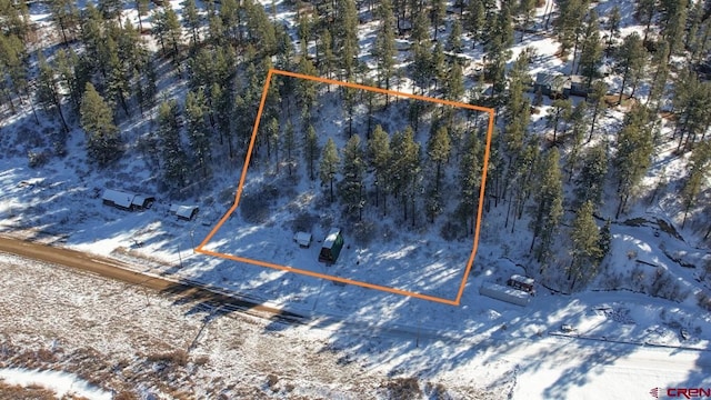 1015 E Stollsteimer Rd, Pagosa Springs, CO 81147 - snowy aerial view with property boundaries highlighted