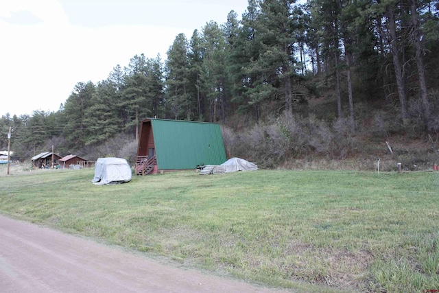 1015 E Stollsteimer Rd, Pagosa Springs, CO 81147 - view of grassy yard featuring an outdoor structure