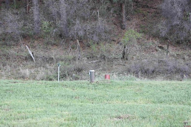 1015 E Stollsteimer Rd, Pagosa Springs, CO 81147 - view of yard