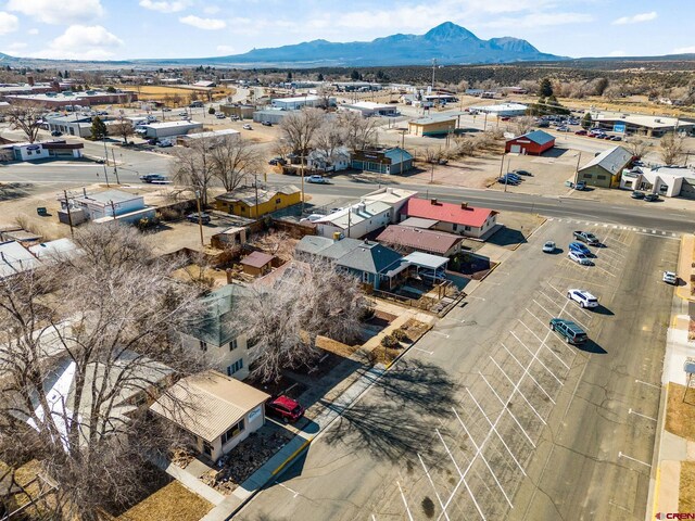 drone / aerial view featuring a mountain view