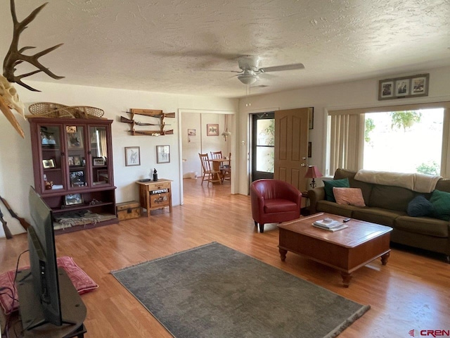 living room with ceiling fan, a healthy amount of sunlight, a textured ceiling, and light wood-type flooring