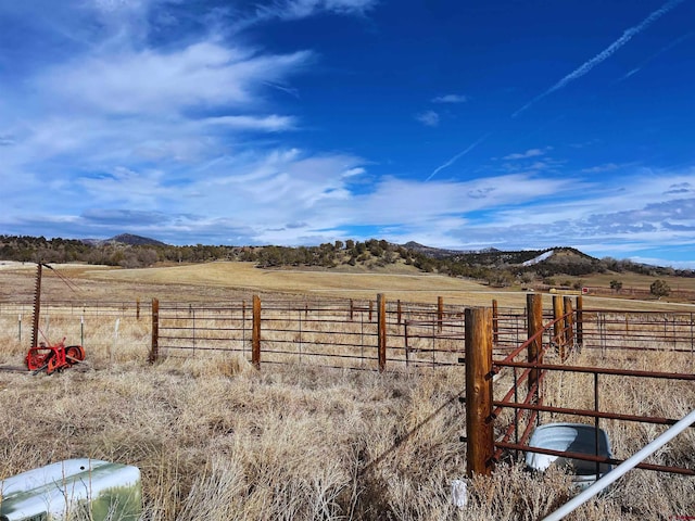 view of yard with a rural view and a mountain view