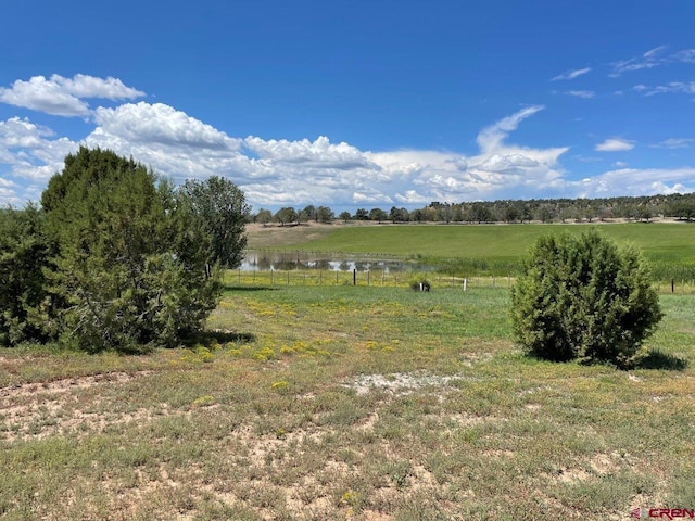 view of nature with a rural view and a water view