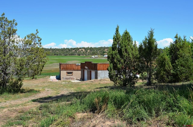 view of yard with a rural view