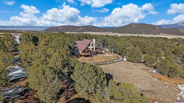 aerial view with a mountain view