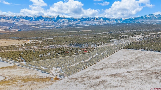 birds eye view of property featuring a mountain view