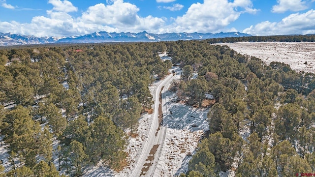 aerial view with a mountain view