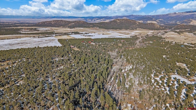 bird's eye view featuring a mountain view