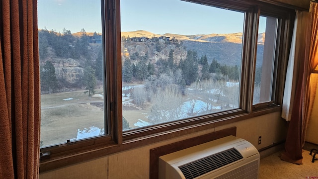 room details featuring a mountain view, heating unit, and carpet