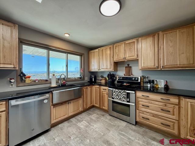 kitchen featuring sink, light hardwood / wood-style flooring, and appliances with stainless steel finishes