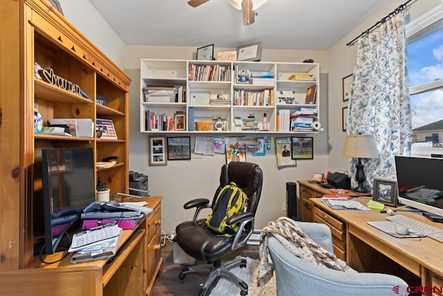 office with ceiling fan