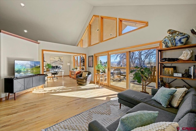 living room with high vaulted ceiling and light hardwood / wood-style floors