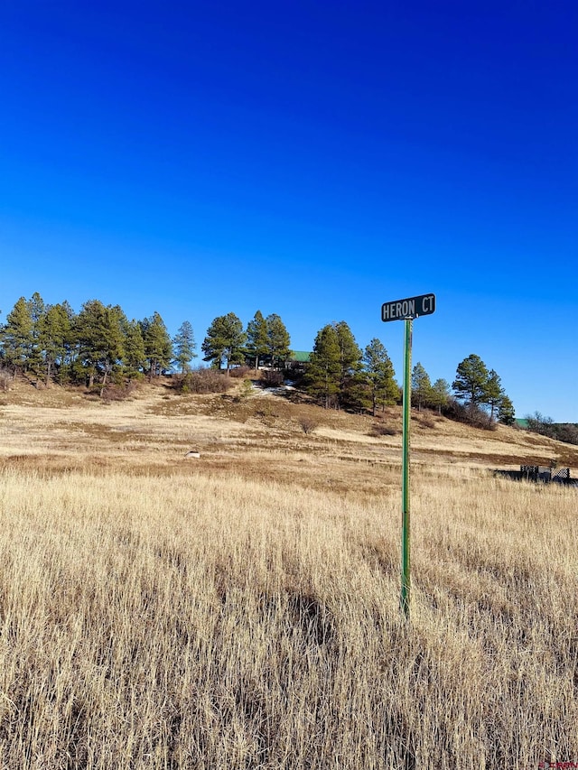 37 Heron Ct, Pagosa Springs CO, 81147 land for sale