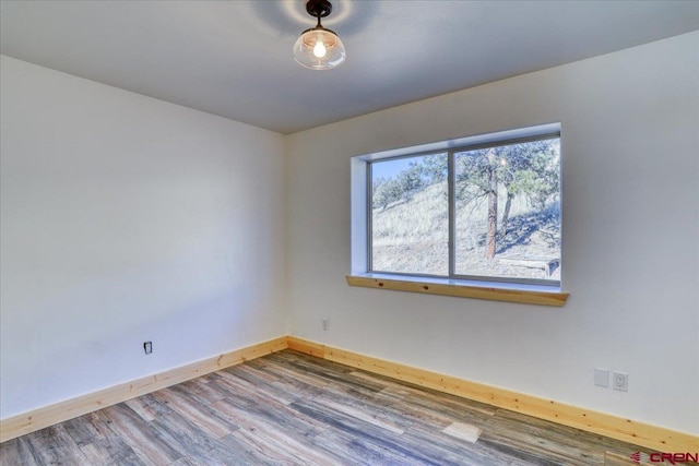 empty room with wood-type flooring