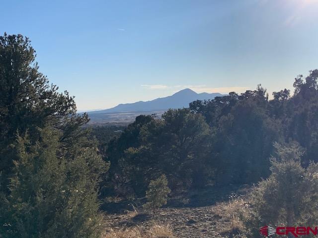 TBD Road V.4, Dolores CO, 81323 land for sale