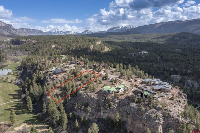 Listing photo 3 for 516 Glacier Cliff Dr, Durango CO 81301