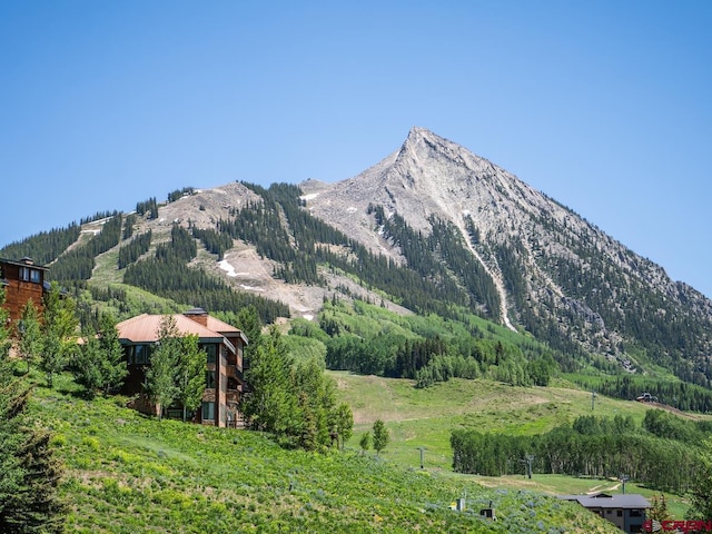 view of mountain feature