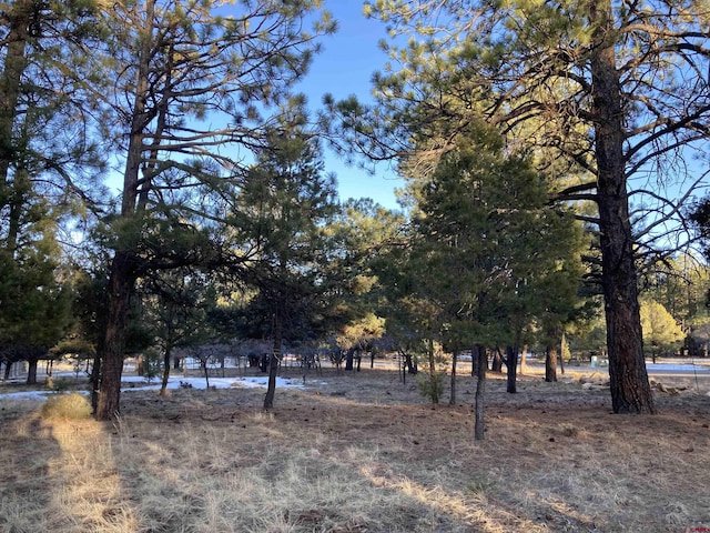 LOT324 Bear Cub Dr, Ridgway CO, 81432 land for sale