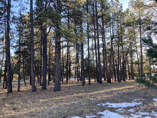 Listing photo 2 for LOT324 Bear Cub Dr, Ridgway CO 81432