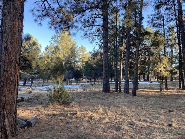 Listing photo 3 for LOT324 Bear Cub Dr, Ridgway CO 81432