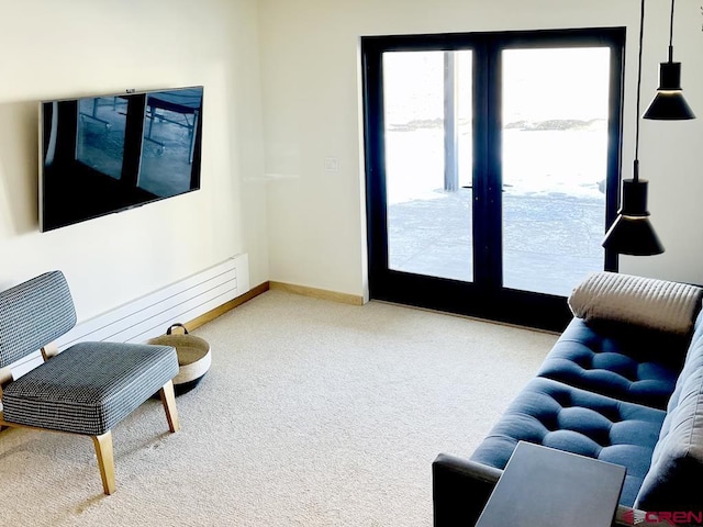 living room featuring carpet flooring