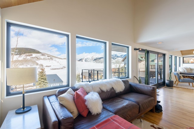 living room with a mountain view, light hardwood / wood-style flooring, and vaulted ceiling