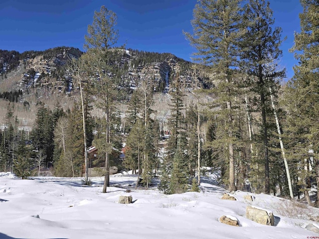 331 Beaver Cir, Durango CO, 81301 land for sale