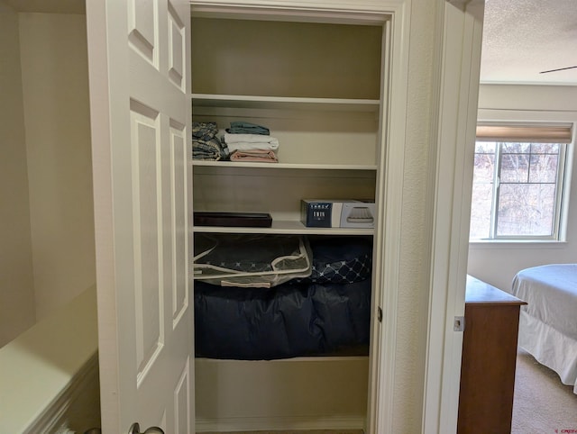 view of closet