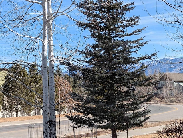 exterior space featuring a mountain view