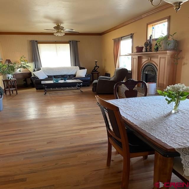 dining area featuring ceiling fan, ornamental molding, and light wood-type flooring