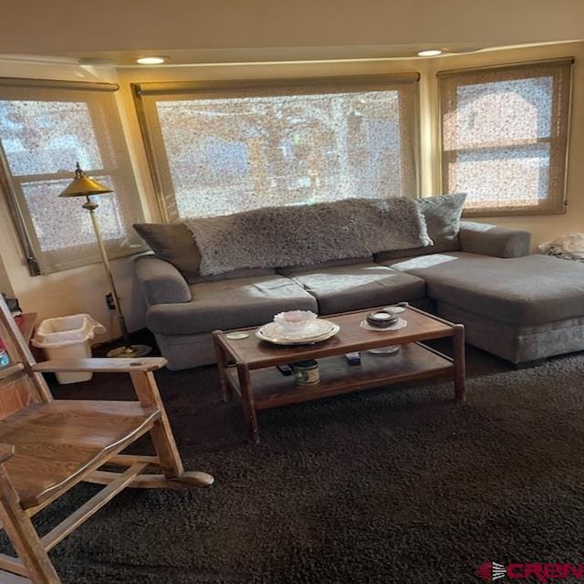 living room featuring a healthy amount of sunlight and carpet flooring