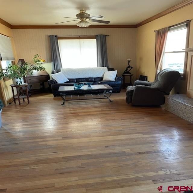 living room with wood-type flooring, ornamental molding, and ceiling fan